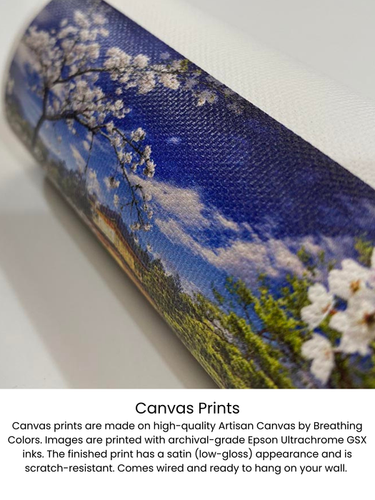 "Jumping Through Hoops" Fine Art Print